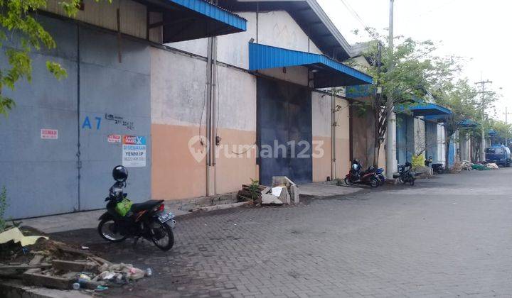 Gudang Mutiara Tambak Langon Siap Pakai Row Jalan Lebar 1