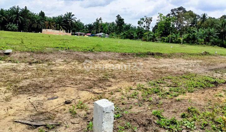 Dijual Tanah Murah Kampar Luas 200m2 Shm, Cocok Ruko 6