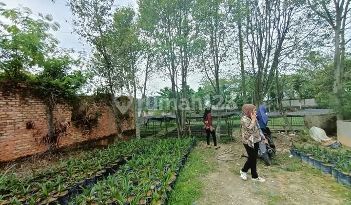 Tanah Kaharudin Pekanbaru SHM Luas 800m2 5