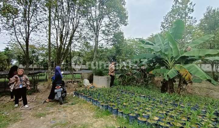Tanah Kaharudin Pekanbaru SHM Luas 800m2 6