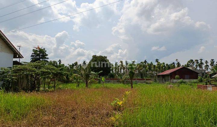 Tanah Murah Garuda Sakti Jln Uka Skgr Luas 200m2 4