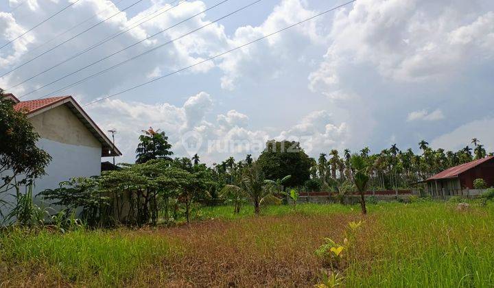 Tanah Murah Garuda Sakti Jln Uka Skgr Luas 200m2 6