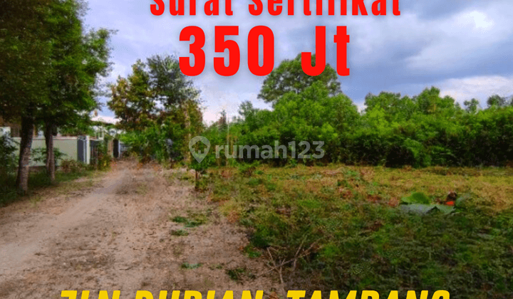 Jual Tanah Murah Luas 1200m2 Surat SHM Kota Kampar 1