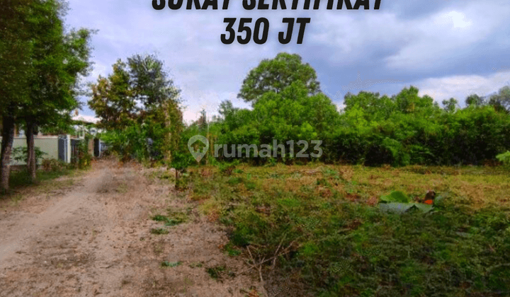 Dijual Cepat Tanah Murah Kampar Surat Shm Luas 1200m2 1