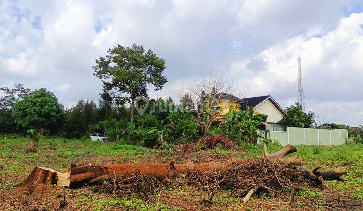Dijual Cepat Tanah Murah Kampar Surat Shm Luas 1200m2 5
