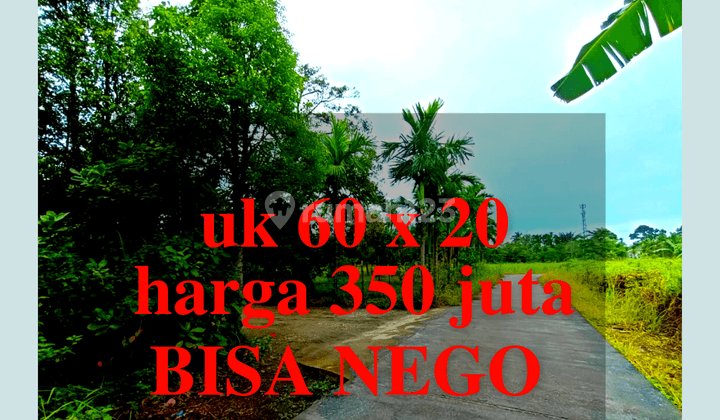 Tanah Murah 300 Ribu meter Luas 1200m2 Shm Kampar 1