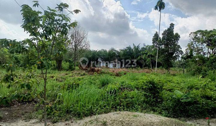 Tanah Tambang, Kampar Luas Kavling 1200m2 14 Menit Rs Aulia SHM 4
