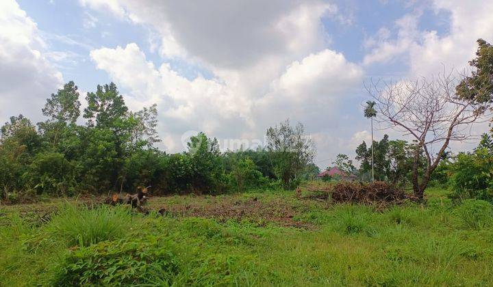 Tanah Tambang, Kampar Luas Kavling 1200m2 14 Menit Rs Aulia SHM 6