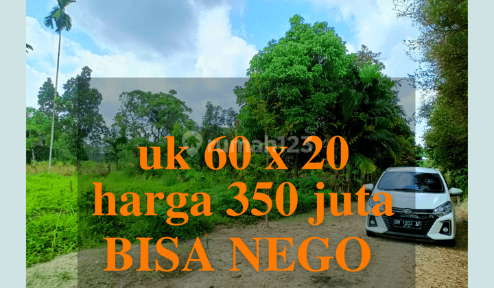 Dijual Tanah Jln Durian Cash Lahan Datar SHM Luas 1200m2 1