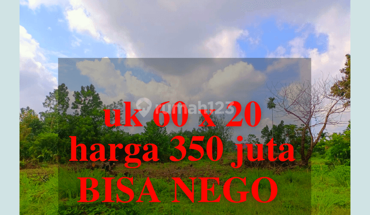 Jual Tanah Murah Surat SHM Kota Kampar Luas 1200m2 1