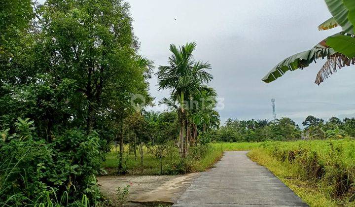 Dijual Tanah Murah Kampar Luas 1200m2 SHM 2