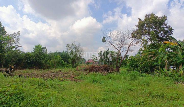 Dijual Tanah Murah Kampar Luas 1200m2 SHM 6