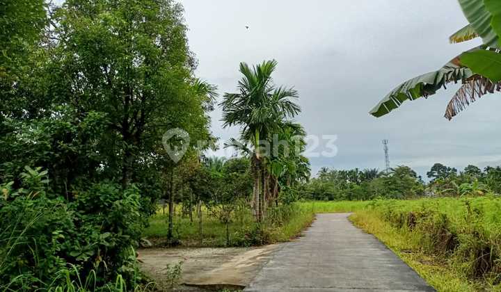 Dijual Tanah Murah Kota Kampar Luas 1200m2 SHM 2