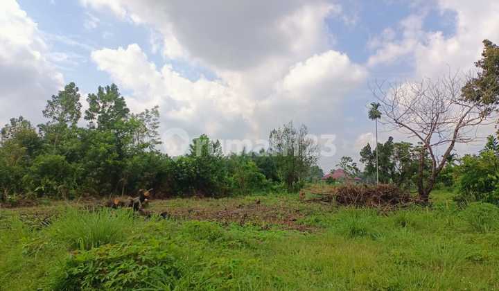 Tanah Dijual Murah Surat SHM Kampar Tambang 5