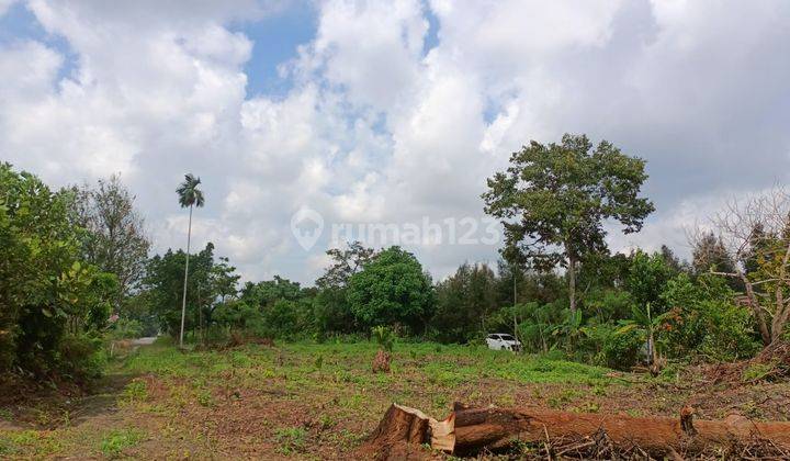 Dijual Tanah Murah Kampar Luas 1200m2 Shm 8