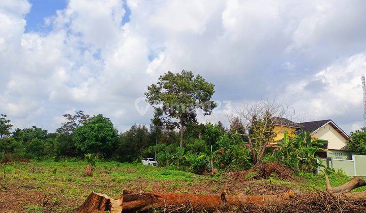 Dijual Tanah Murah Kampar Luas 1200m2 Shm 10