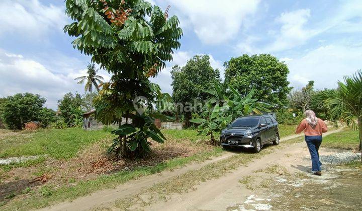 Termurah Tanah Purnama Pandau, Luas 945 Kampar Siak  3