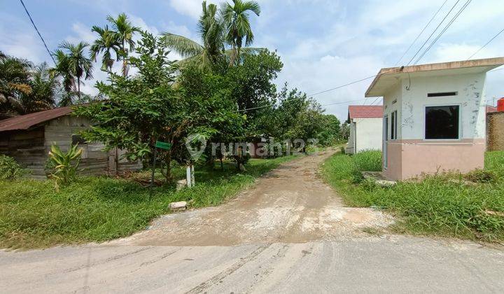 Termurah Tanah Purnama Pandau, Luas 945 Kampar Siak  4