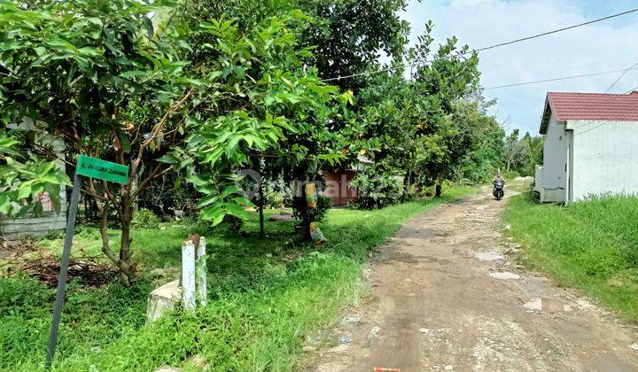 Termurah Tanah Purnama Pandau, Luas 945 Kampar Siak  5