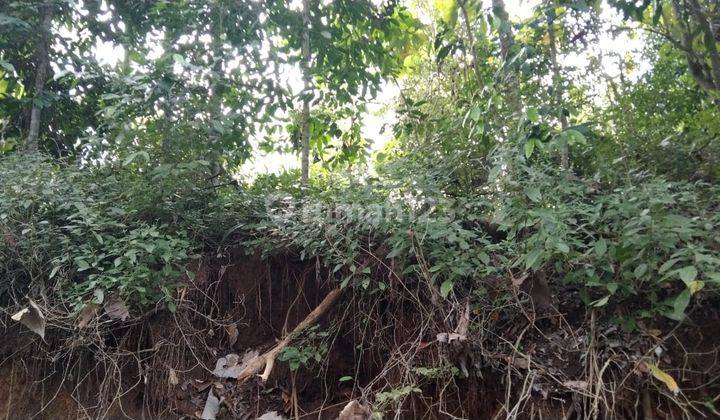 Dijual Tanah Pekarangan 500 M Jln Godean Km 14. 3