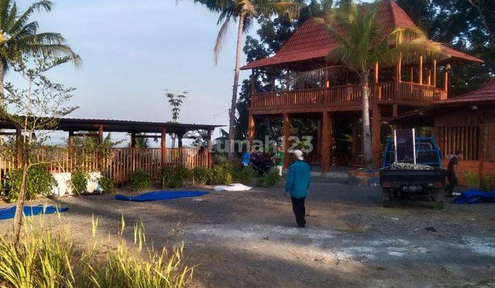 Tanah Murah di Girimulyo Pengasih Kulon Progo 1