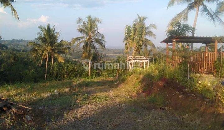 Tanah Murah di Girimulyo Pengasih Kulon Progo 4