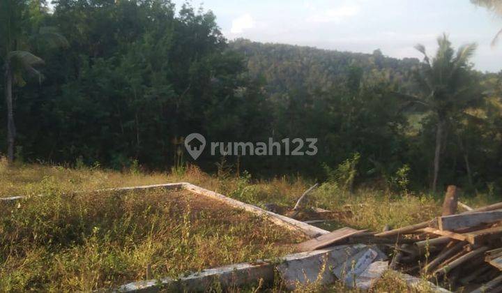 Tanah Murah di Girimulyo Pengasih Kulon Progo 7