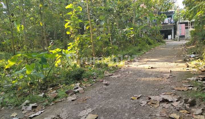 Dijual Tanah Pekarangan di Kanoman Banjararum Kulon Progo. 2