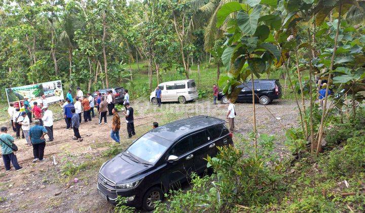 Dijual Tanah Murah di Pengasih Kulon Progo 3