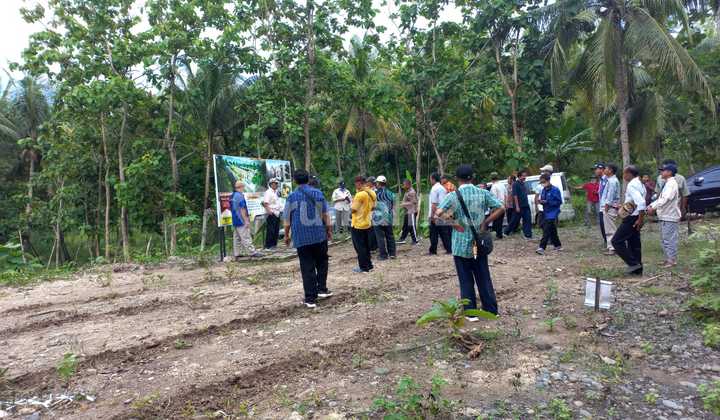 Dijual Tanah Murah di Pengasih Kulon Progo 4
