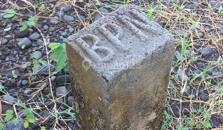 Dijual tanah murah di pengasih kulon Progo  1