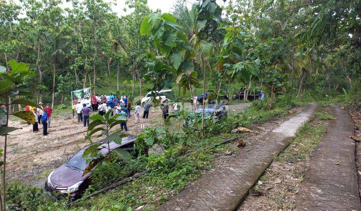 Rumah Murah Modern Dipengasih Kulon Progo 7