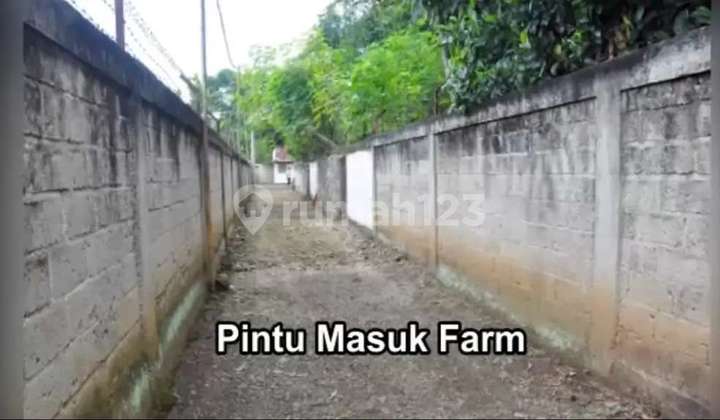 Jual Cepat Tanah Eks Peternakan di Pabuaran Rumpin Bogor