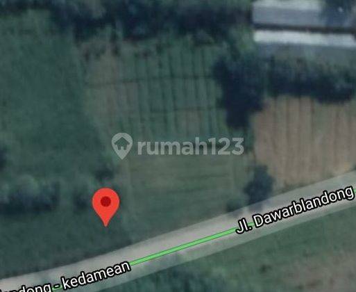  Lahan Nol Jalan Raya di Dawar Blandong Mojokerto Area Strategis 6