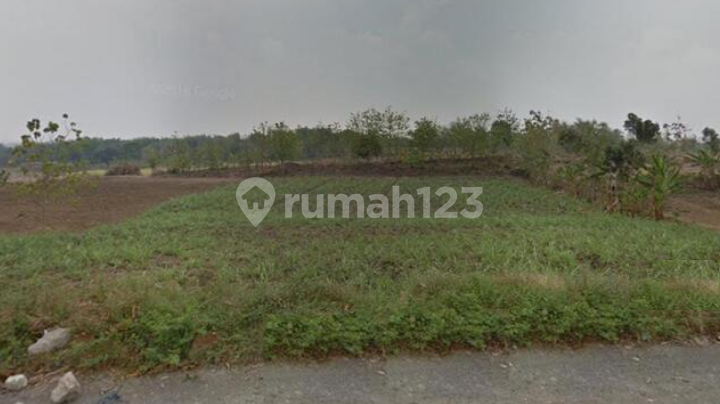  Lahan Nol Jalan Raya di Dawar Blandong Mojokerto Area Strategis 1