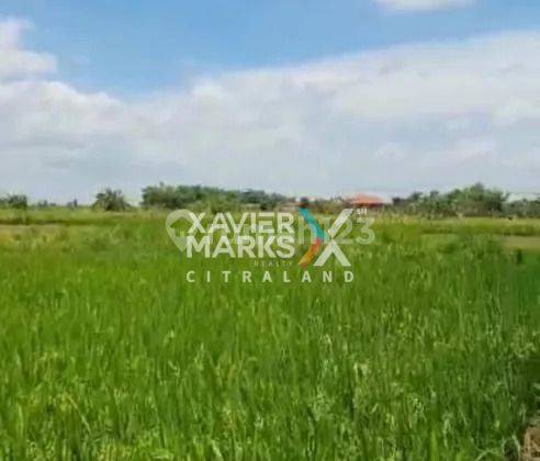 Dijual Lahan Industry di Bringkang Menganti Gresik Strategis  2