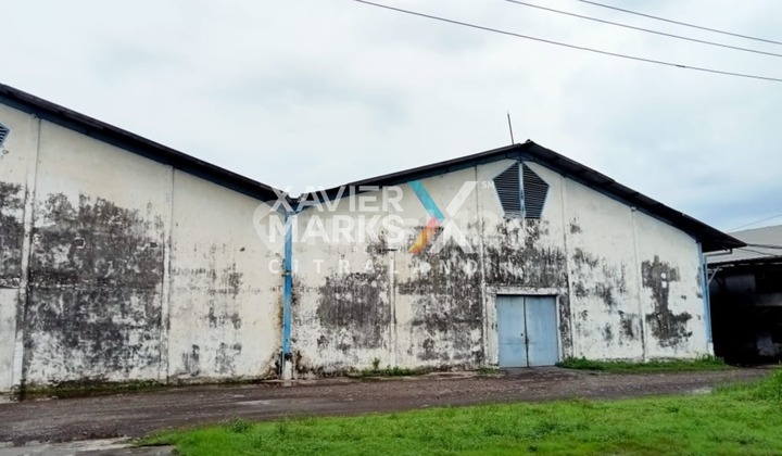 Tanah Strategis di Kawasan Industri Jl. Bintoro, Pasuruan Tanah Strategis di Kawasan Industri Jl. Bintoro, Pasuruan