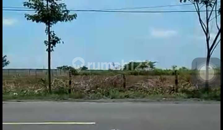 Lahan Industri Tuban Dekat Toll Kecamatan Widang