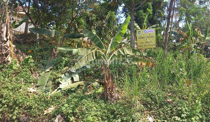 Tanah darat KEBUN  3000 m2 Bantar kuning Cariu bogor 2