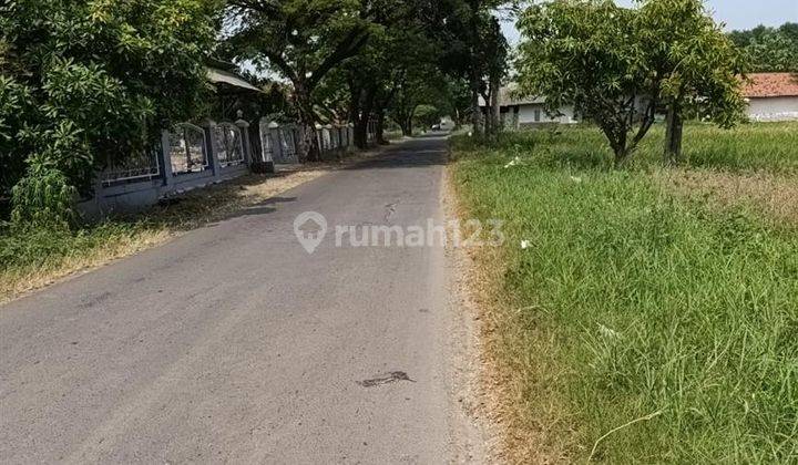 Tanah Kavl Desa Mekar Jaya Pinggir Tol Cipali Pal Km 150 Majaleka