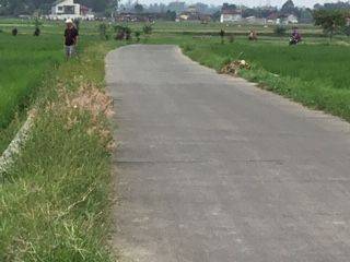 TANAH SAWAH PRODUKTIP DESA BOJONG NANGKA SOREANG  BDG 1