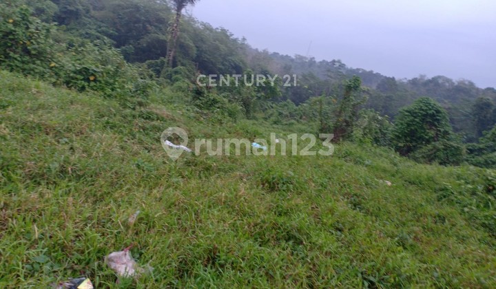 Tanah Gunung Geulis Cocok untuk Resort Dekat Hambalang Sentul