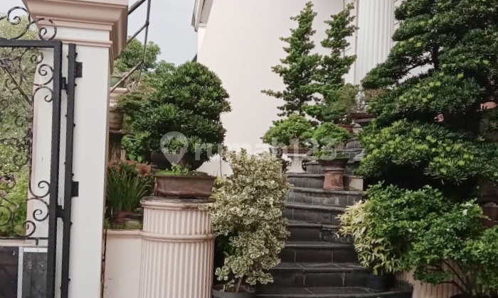 Rumah Mewah Klasik Pluit Jual Cepat Lokasi Bagus Jalan Lebar