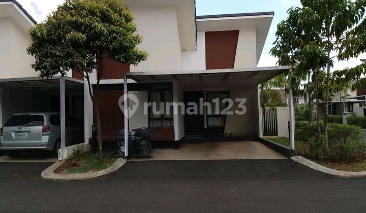 Rumah Bagus di Cluster Podomoro Park Bojongsoang Rumah Bagus di Cluster Podomoro Park Bojongsoang