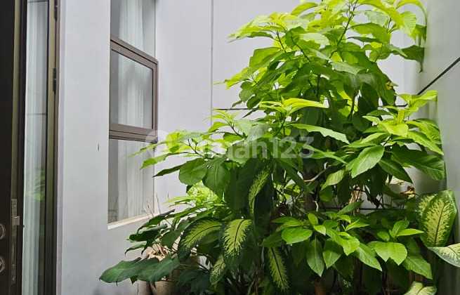 Rumah Furnished di zimbali costa, pakuwon city, surabaya 2