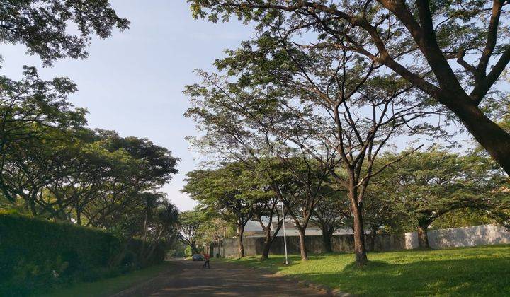 Tanah di Sutera Danau Biru, Alam Sutera, Tangerang 1.250 m² 3