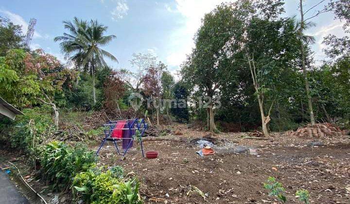 Tanah Siap Bangun 3000 M2 View Bukit di Srogol, Bogor Regency  2