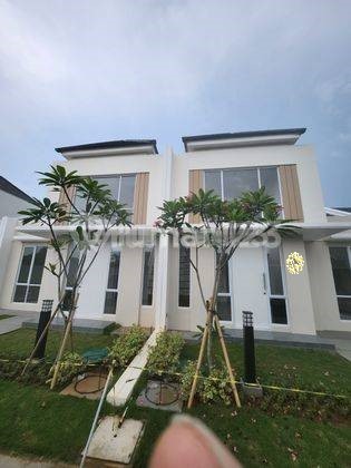 Rumah 1 Lantai Mezzanine Cluster Aater di Paramount Petals 