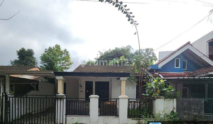 Rumah Tua di BSD Sangat Cocok Untuk Investasi Masa Depan 1