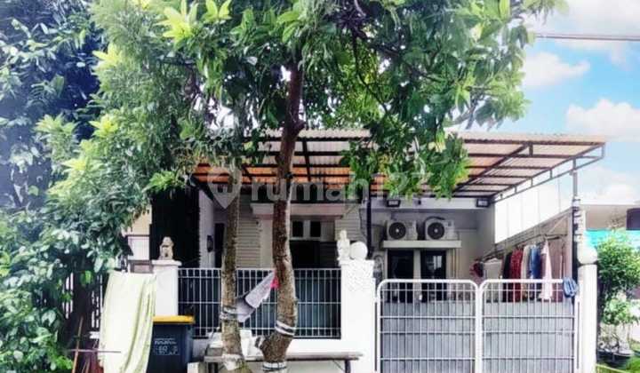 Crazy Price! Freehold House at Griya Sutera Alam Sutera Under 1 Billion - Land Area 102M2